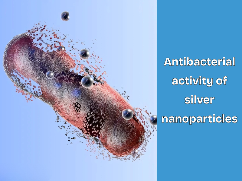Antimicrobial Properties